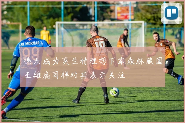 热火成为莫兰特理想下家森林狼国王雄鹿同样对其表示关注